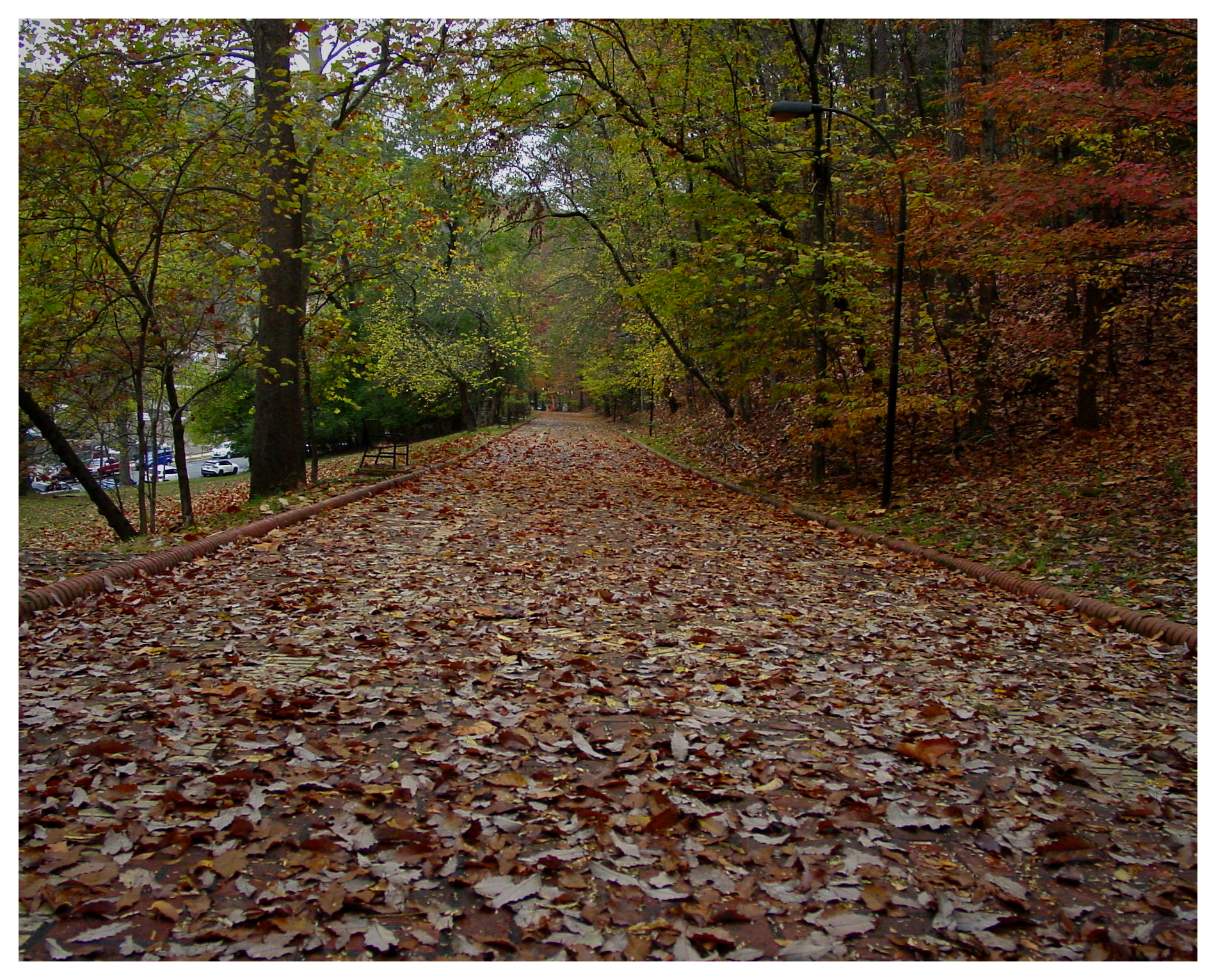 Fall color along the Hot Springs National Park promenade